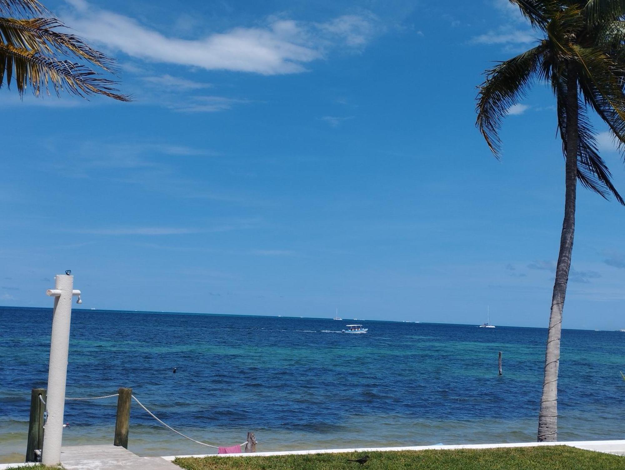 Cancun Ocean View Flamingo Plus 外观 照片